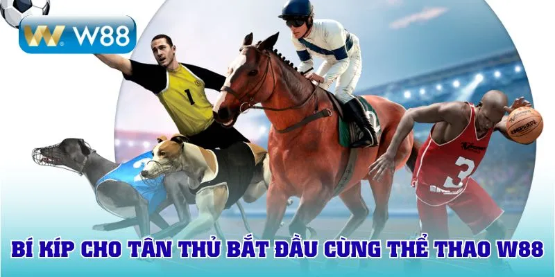 Bí kíp cho tân thủ bắt đầu cùng thể thao W88