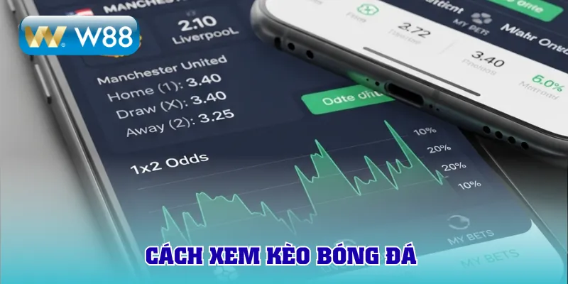 cách xem kèo bóng đá