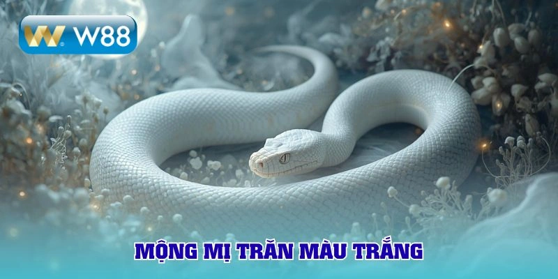 Chiêm bao con màu trắng