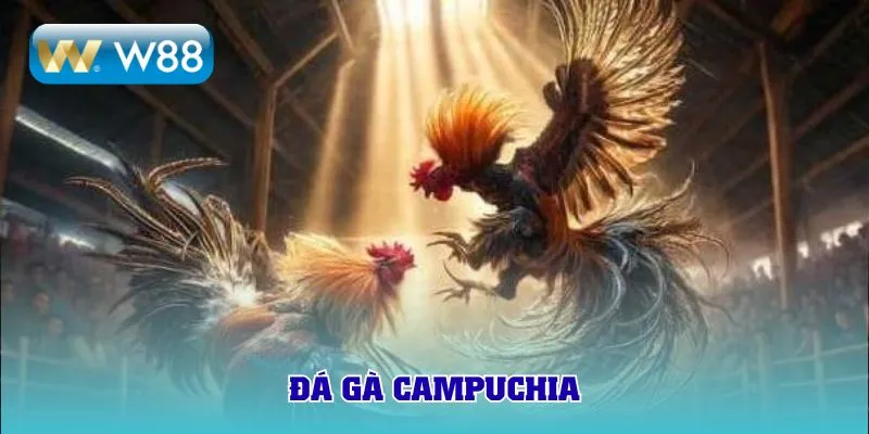 đá gà campuchia