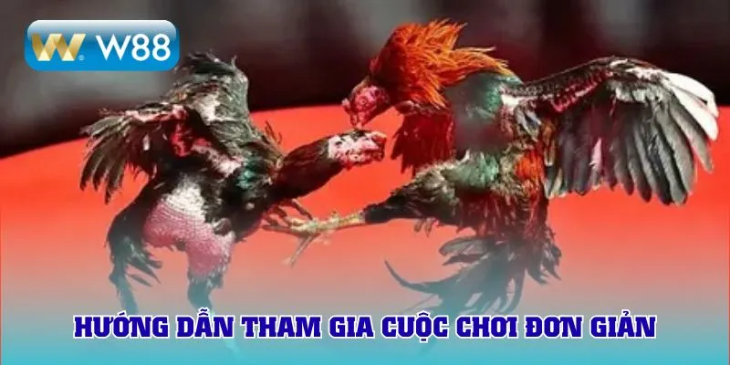 Hướng dẫn tham gia cuộc chơi đơn giản