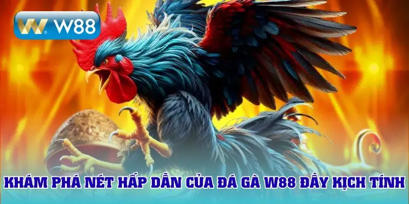 Khám phá nét hấp dẫn của đá gà W88 đầy kịch tính