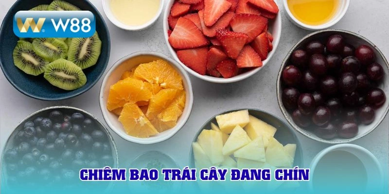 Mơ thấy trái cây đang chín