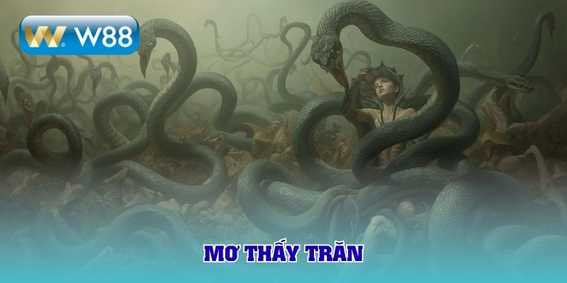 mơ thấy trăn