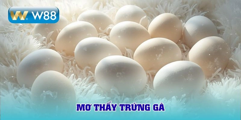 mơ thấy trứng gà