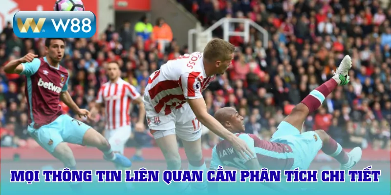 Mọi thông tin liên quan cần phân tích chi tiết