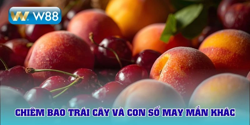 Mộng chiêm bao và con số may mắn 