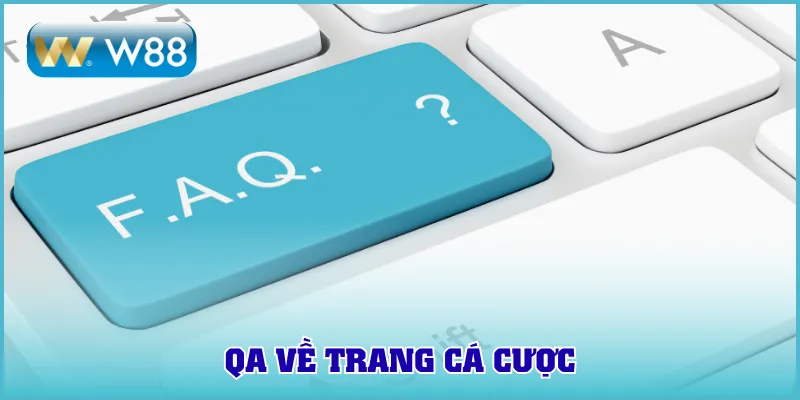QA về trang cá cược