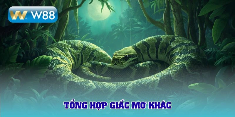 Tổng hợp các mộng mị khác