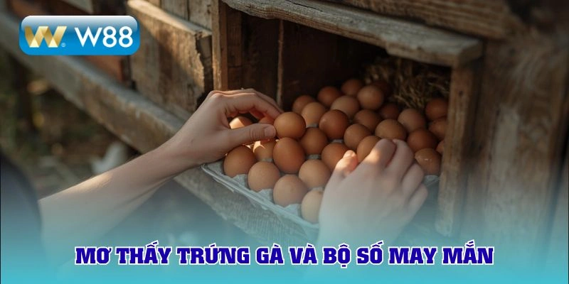 Tổng hợp chiêm bao khác và bộ số may mắn
